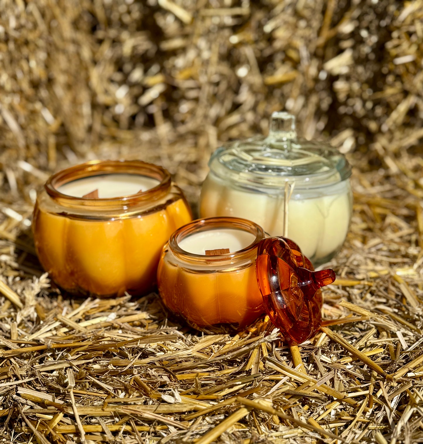 Cozy Pumpkin Candle | Fall Soy Wax with Wood Wick