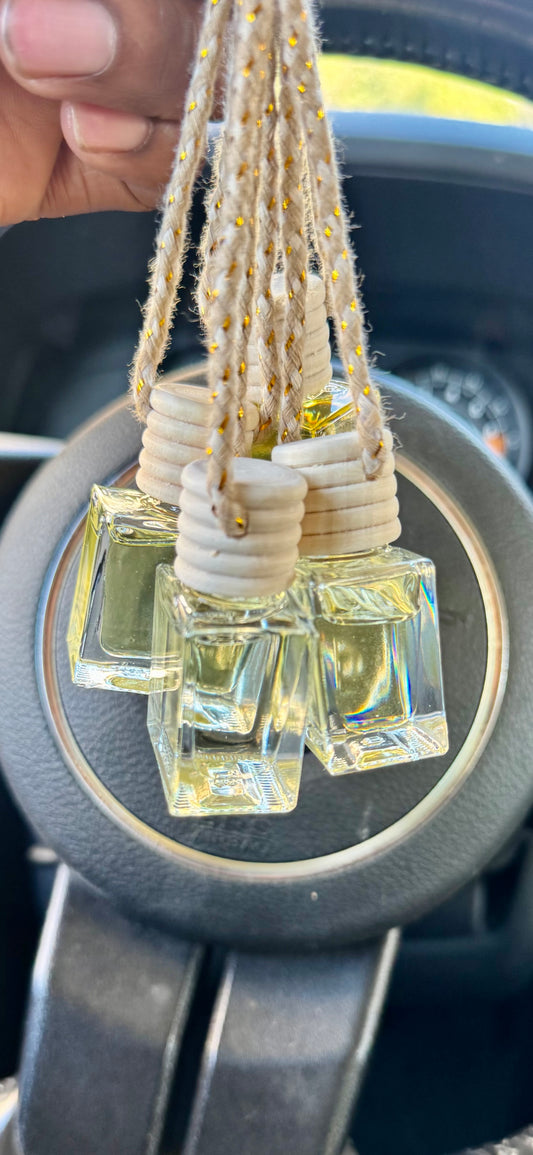 Car Diffuser (Fall Collection)