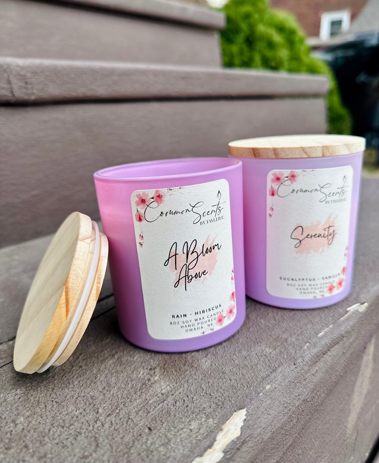 Soft Crackling Wood Wick Soy Wax Candles (A Bloom Above)