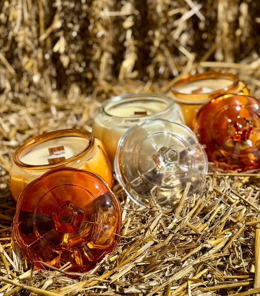 Cozy Pumpkin Candle | Fall Soy Wax with Wood Wick